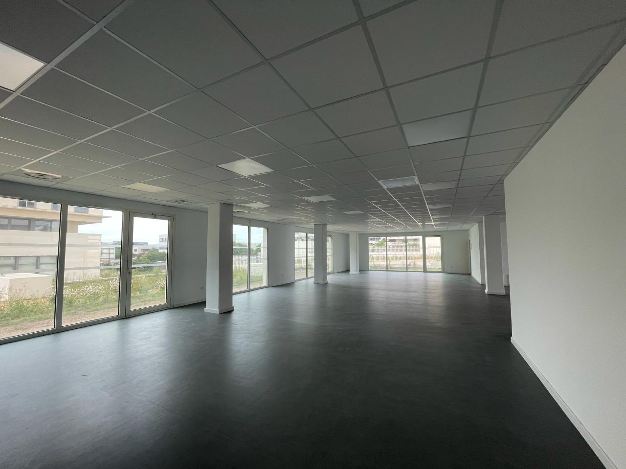 Bureau Castelnau-le-Lez 1624m² Location bureau Castelnau-le-Lez Hérault OLBUR2117268 5
